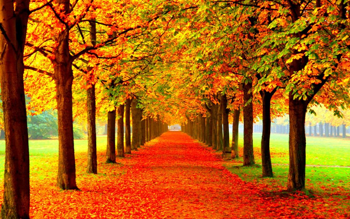 5f8b3c8765aacdbbf2bf6ab98eb62d16-700